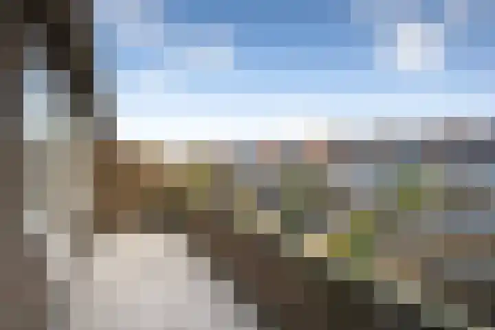 Zaanenlaan 60 Haarlem thumbnail 22