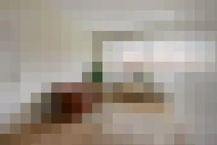 Zaanenlaan 60 Haarlem thumbnail 24