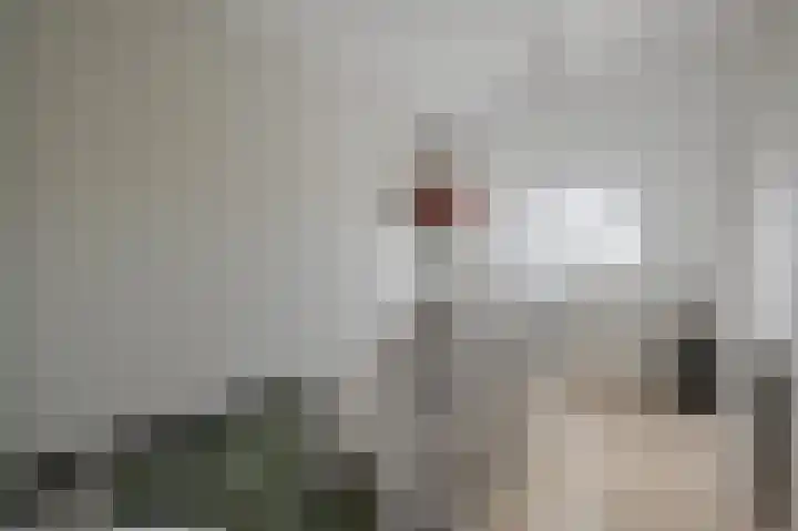 Zaanenlaan 60 Haarlem thumbnail 32