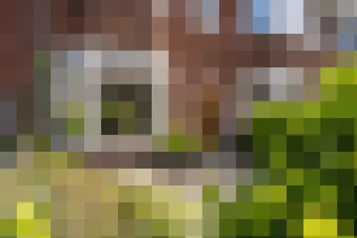 Zaanenlaan 60 Haarlem thumbnail 33