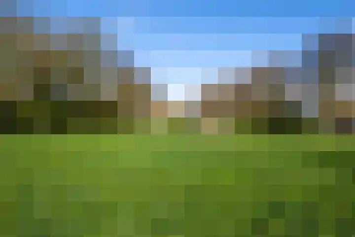 Zaanenlaan 60 Haarlem thumbnail 36