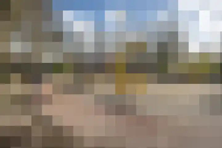 Zaanenlaan 60 Haarlem thumbnail 37