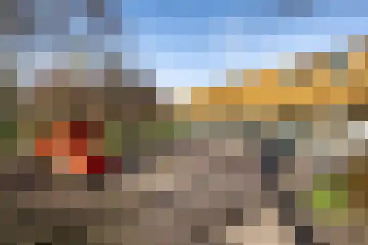 Zaanenlaan 60 Haarlem thumbnail 38