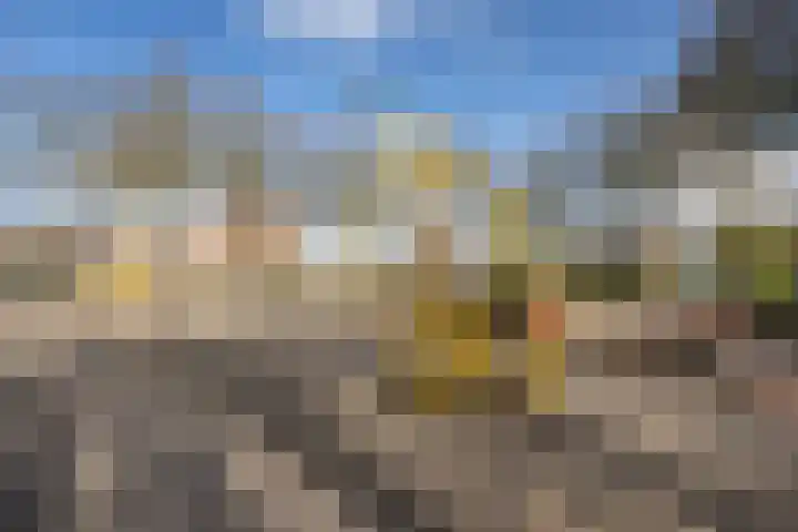 Zaanenlaan 60 Haarlem thumbnail 39