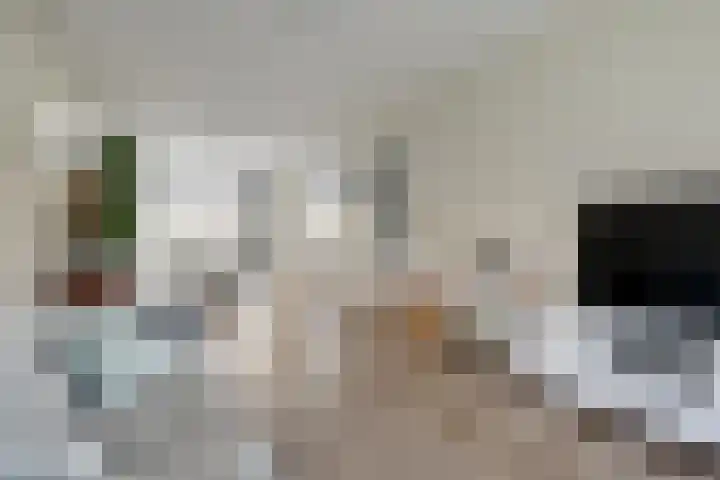 Zaanenlaan 60 Haarlem thumbnail 4