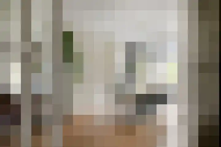 Zaanenlaan 60 Haarlem thumbnail 5
