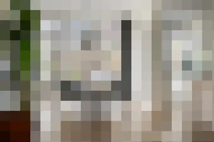 Zaanenlaan 60 Haarlem thumbnail 7