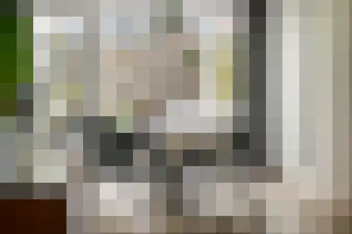 Zaanenlaan 60 Haarlem thumbnail 8