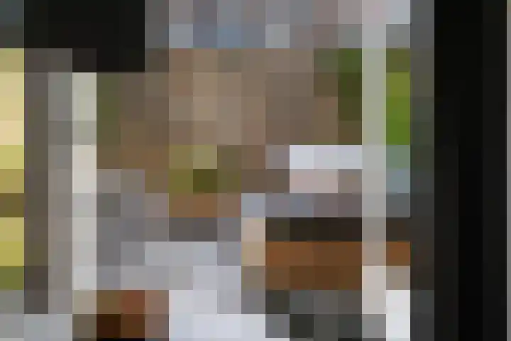 Zaanenlaan 60 Haarlem thumbnail 9