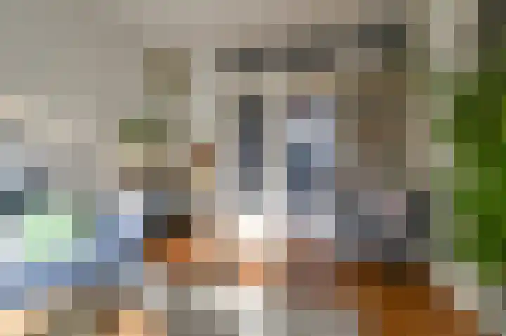Zaanenlaan 92 Haarlem thumbnail 11