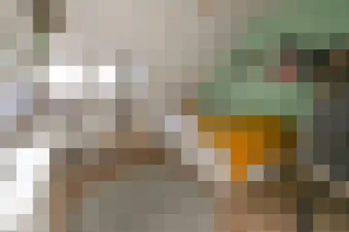 Zaanenlaan 92 Haarlem thumbnail 33