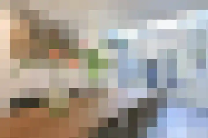 Zaanenlaan 92 Haarlem thumbnail 4