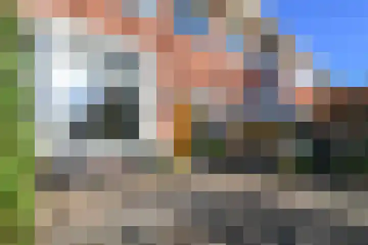 Zaanenlaan 92 Haarlem thumbnail 44