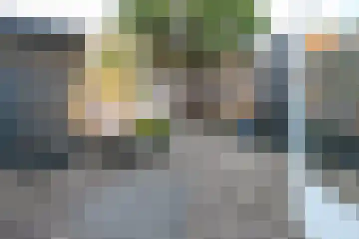 Zaanenlaan 92 Haarlem thumbnail 6