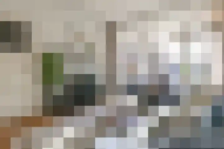 Zaanenlaan 92 Haarlem thumbnail 8