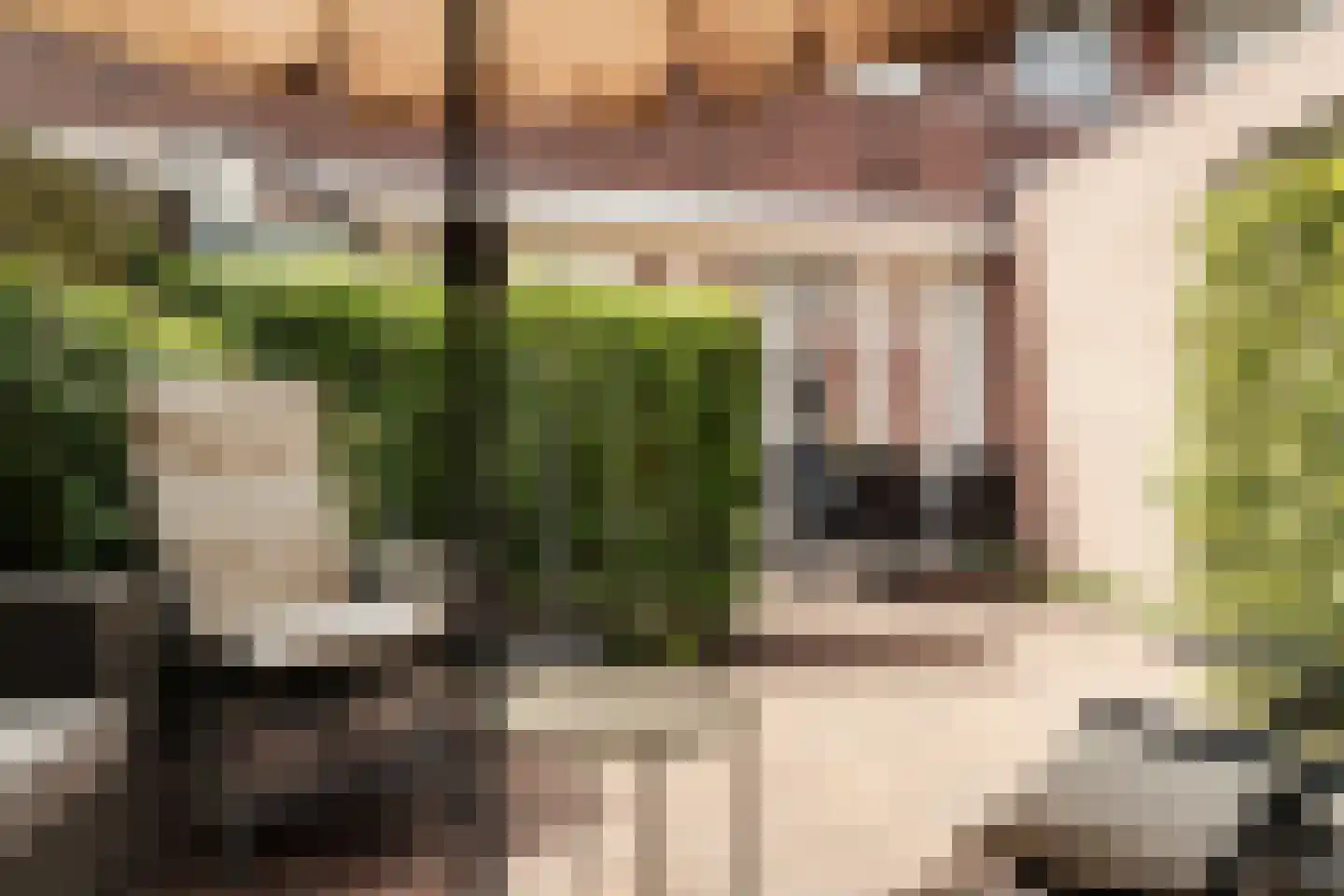 Zaanenlaan 94 Haarlem thumbnail 17