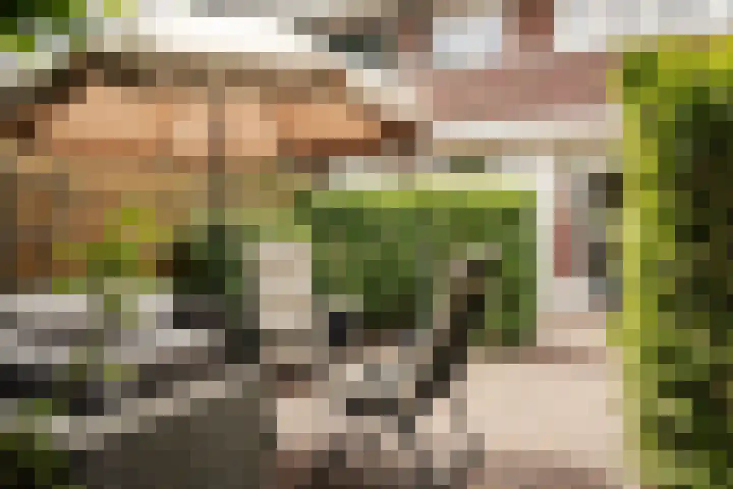 Zaanenlaan 94 Haarlem thumbnail 18
