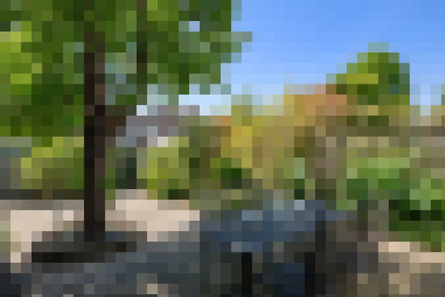 Zaanenlaan 99 Haarlem thumbnail 15