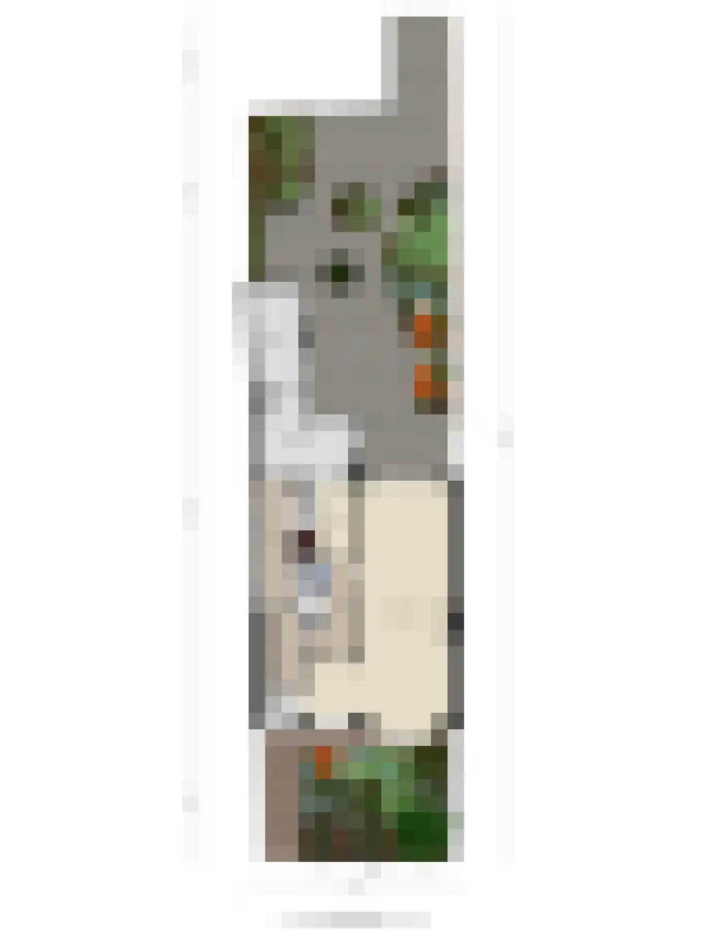 Zaanenlaan 99 Haarlem thumbnail 61