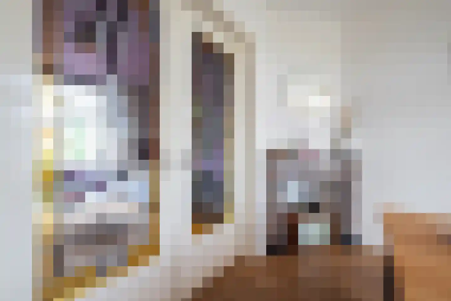 Zaanenstraat 101 Haarlem thumbnail 17