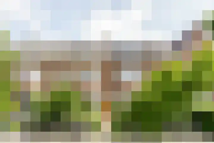 Zaanenstraat 41 Haarlem thumbnail 30