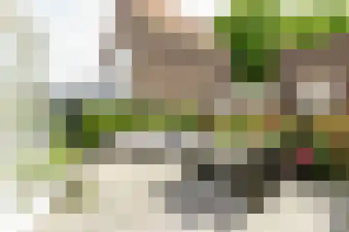 Zaanenstraat 41 Haarlem thumbnail 5