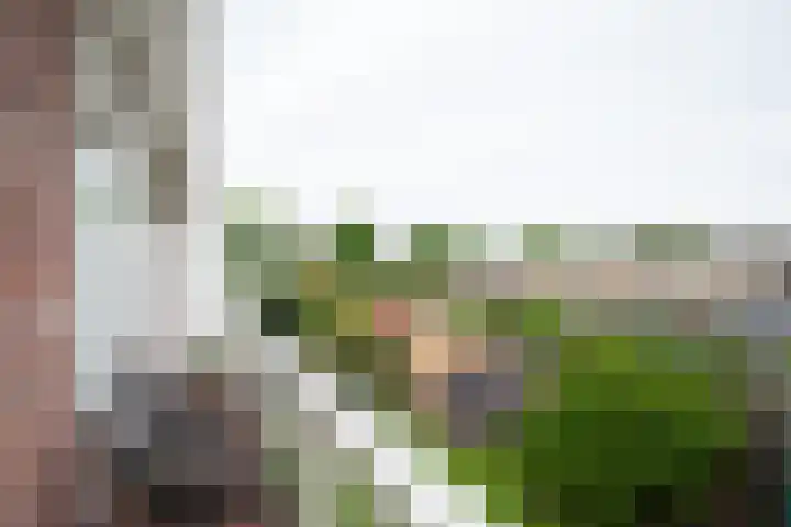 Zaanenstraat 71 Haarlem thumbnail 16