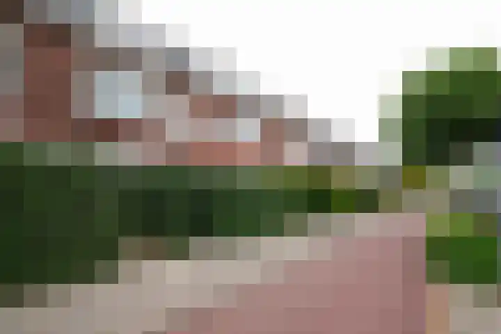 Zaanenstraat 71 Haarlem thumbnail 35