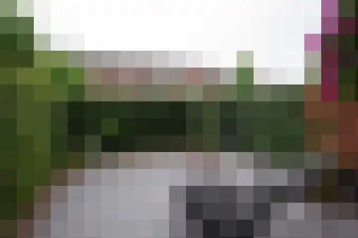 Zaanenstraat 71 Haarlem thumbnail 8