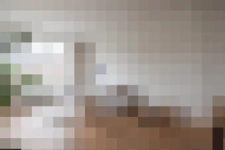 Zaanenstraat 71 Haarlem thumbnail 9