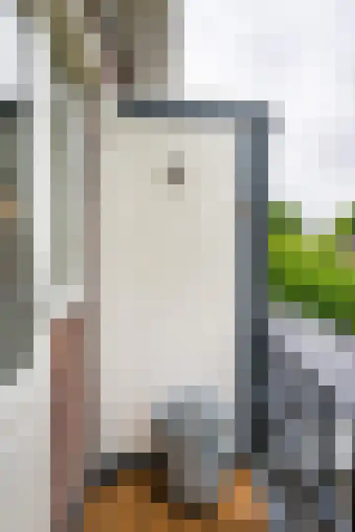 Zaanenstraat 85 Haarlem thumbnail 12