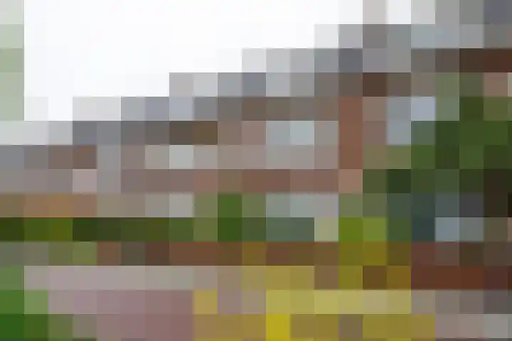 Zaanenstraat 85 Haarlem thumbnail 24