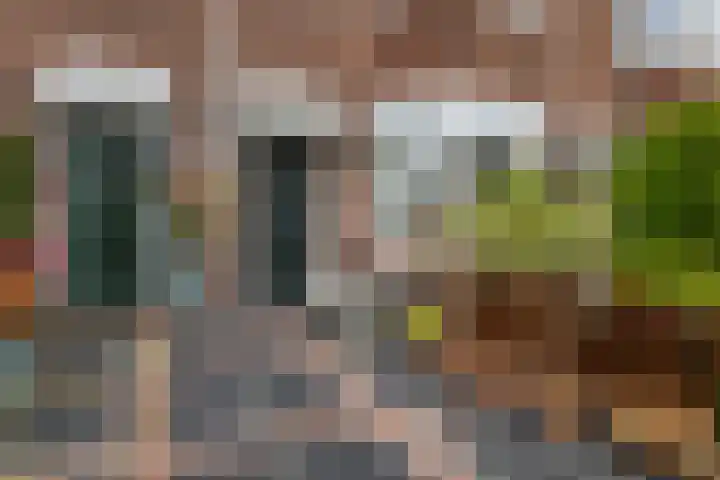 Zaanenstraat 85 Haarlem thumbnail 25