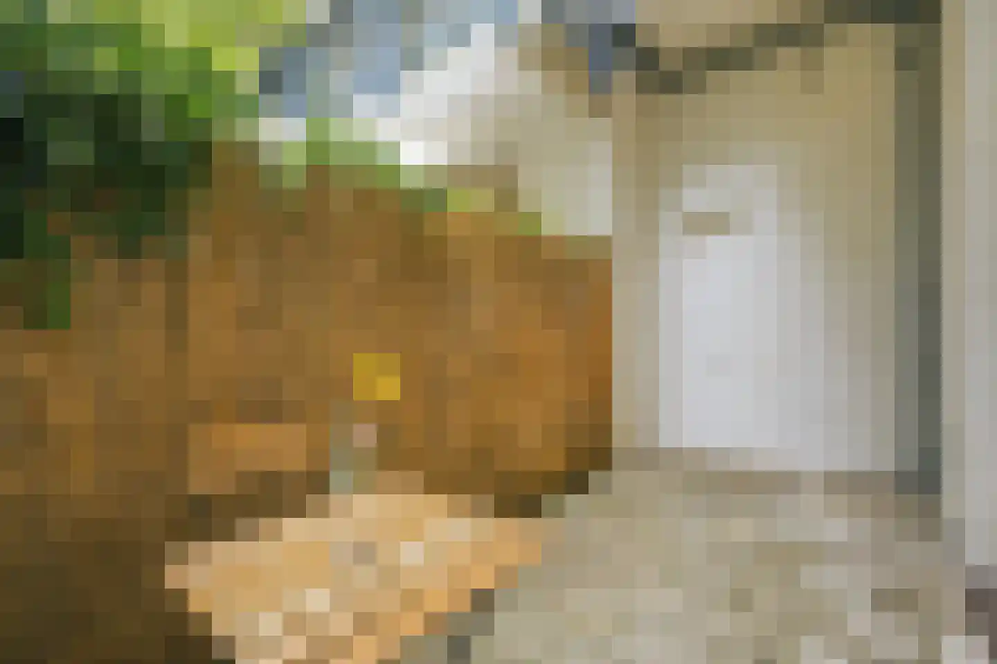 Zaanstraat 113 Amsterdam thumbnail 16