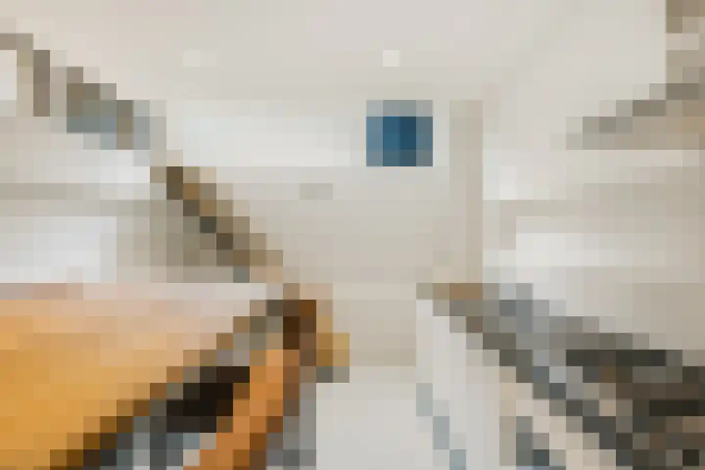 Zaanstraat 113 Amsterdam thumbnail 6