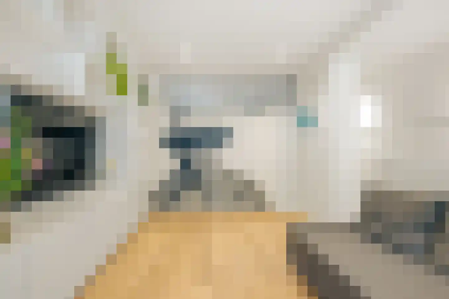 Zaanstraat 113 Amsterdam thumbnail 9