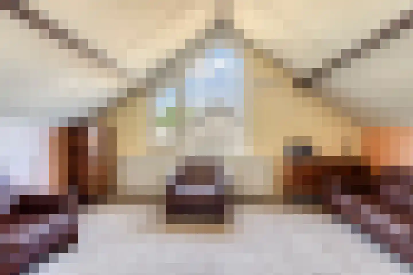 Zaanstraat 15 Assen thumbnail 37