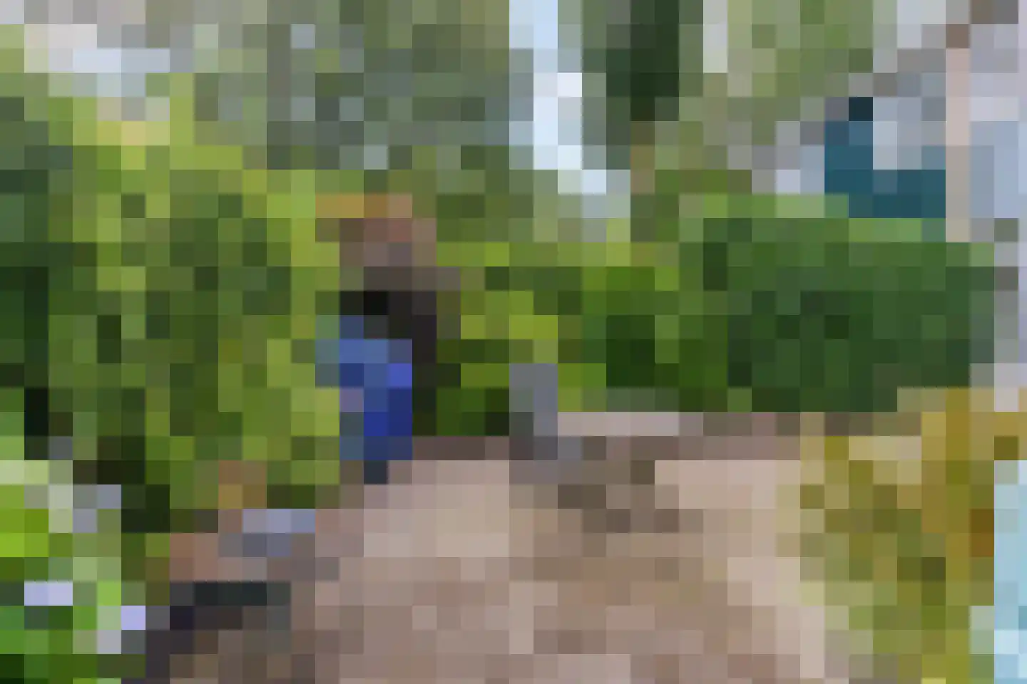 Zaanstraat 15 Assen thumbnail 40