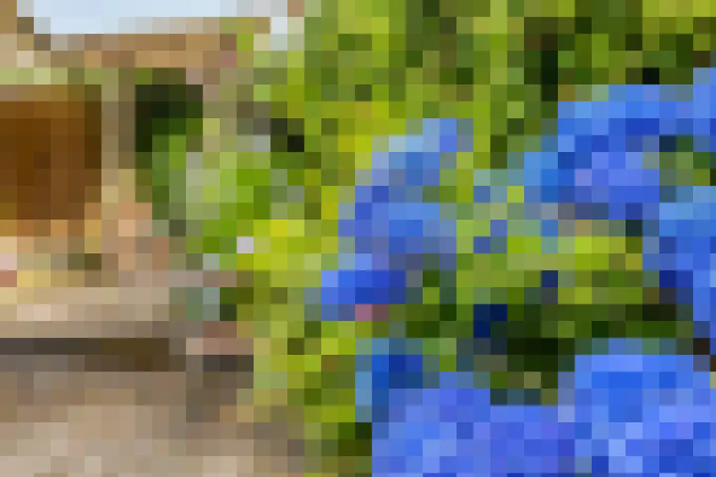 Zaanstraat 15 Assen thumbnail 41