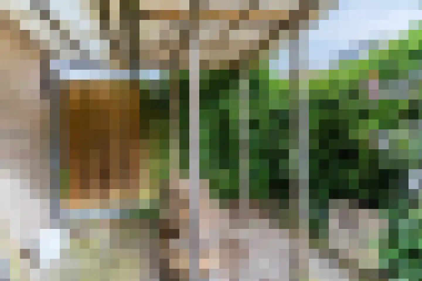 Zaanstraat 15 Assen thumbnail 43