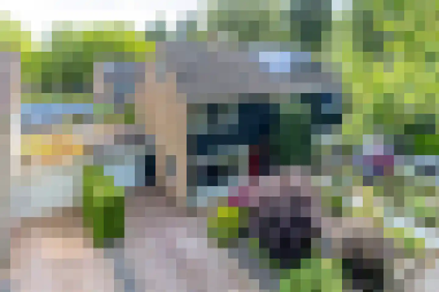 Zaanstraat 15 Assen thumbnail 5
