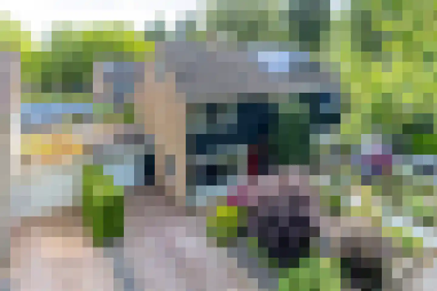 Zaanstraat 15 Assen thumbnail 6