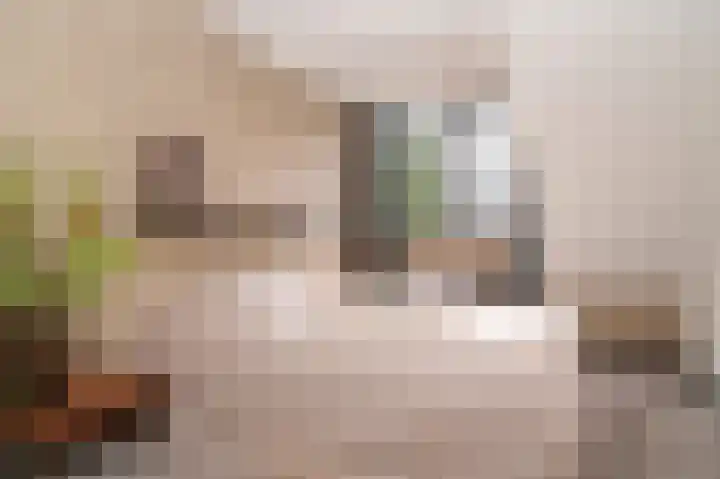 Zaanstraat 15 Veghel thumbnail 11