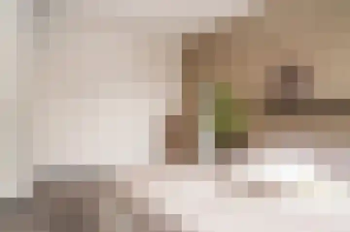 Zaanstraat 15 Veghel thumbnail 12