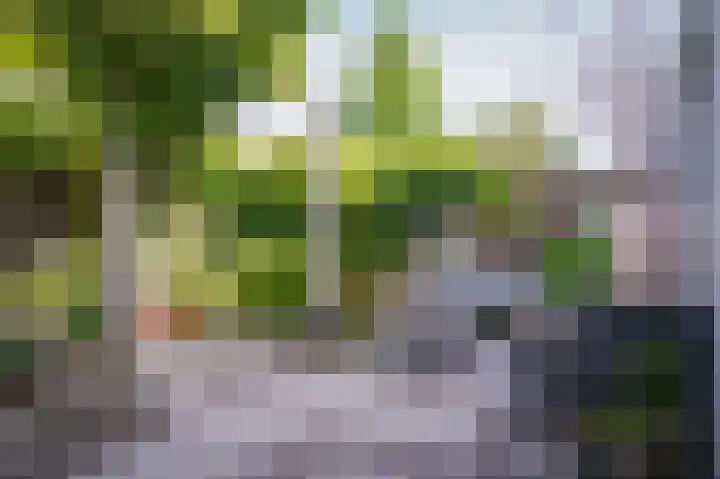 Zaanstraat 15 Veghel thumbnail 20