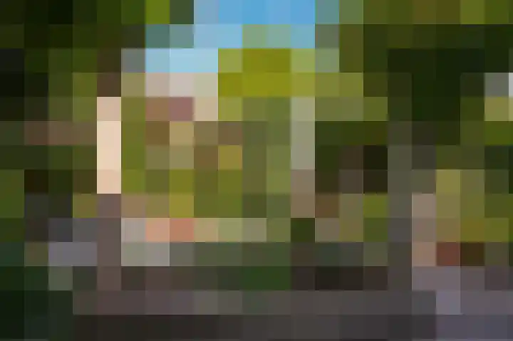 Zaanstraat 15 Veghel thumbnail 21
