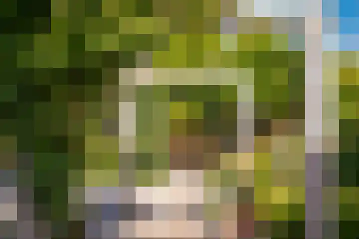 Zaanstraat 15 Veghel thumbnail 22