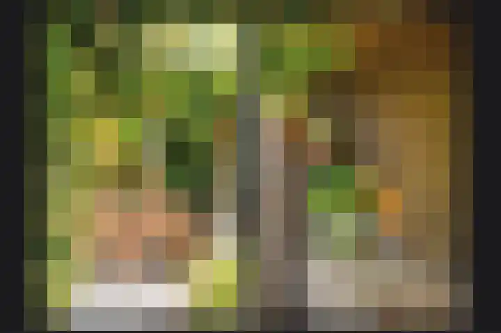 Zaanstraat 15 Veghel thumbnail 23