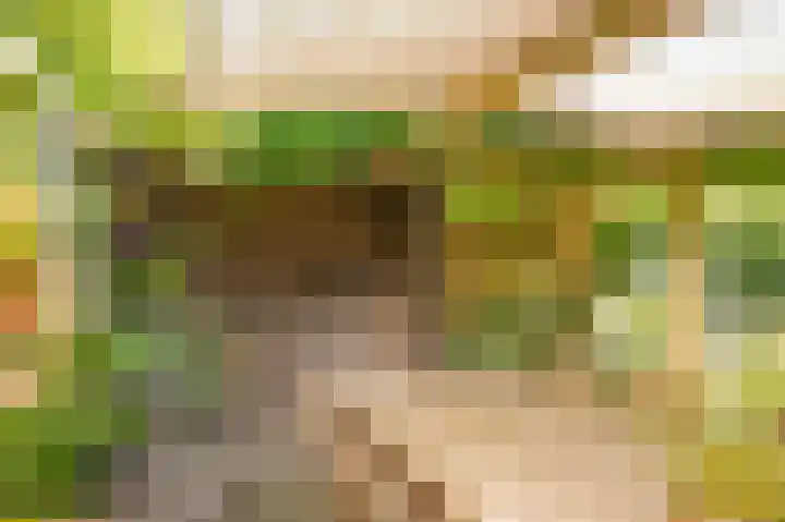 Zaanstraat 15 Veghel thumbnail 24