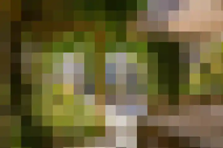 Zaanstraat 15 Veghel thumbnail 25